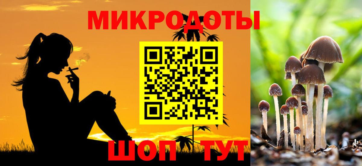 Лосино-Петровский  Галлюциногенные грибы GOLDEN TEACHER  где можно купить   Вход с VPN 
